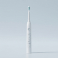 Electronic Toothbrush